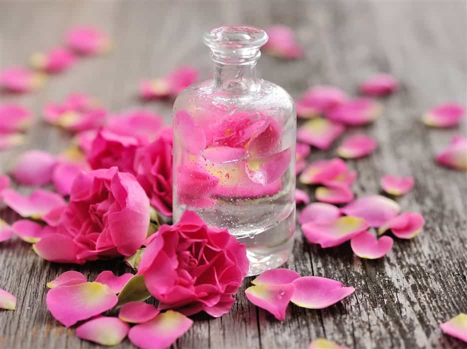 Rose water skin care benefits