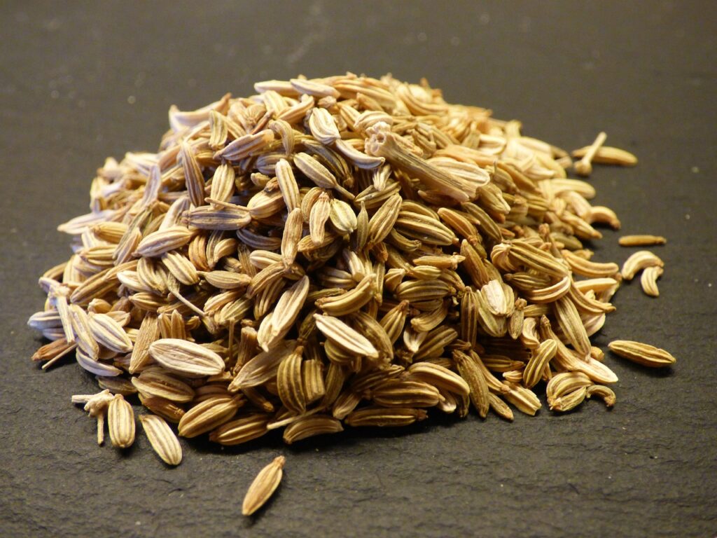 Fennel Seed (Saunf) – Uses, Recipe, and More Health Benefits